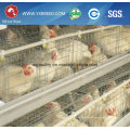 Poultry Farming Equipment Layer Chicken Cage